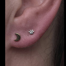 Load image into Gallery viewer, MINI PAW - 14k Gold end
