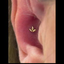 Load image into Gallery viewer, Dr. Bloom - 14k Gold end