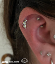 Load image into Gallery viewer, OLIVE BRANCH - 14k Gold end