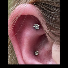 Load image into Gallery viewer, MINI PAW - 14k Gold end
