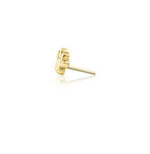 Load image into Gallery viewer, MINI PAW - 14k Gold end
