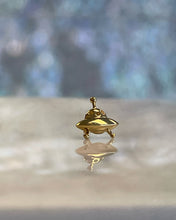 Load image into Gallery viewer, UFO - 14k Gold Attachment - Junipurr

